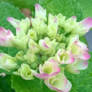 Woher, wohin und jede Menge Gefühl