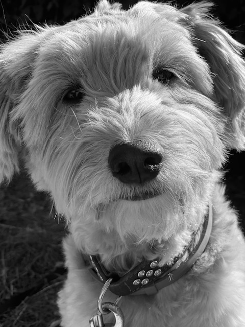 Begleitende energetische Unterstützung über sechs Monate – Bild 2