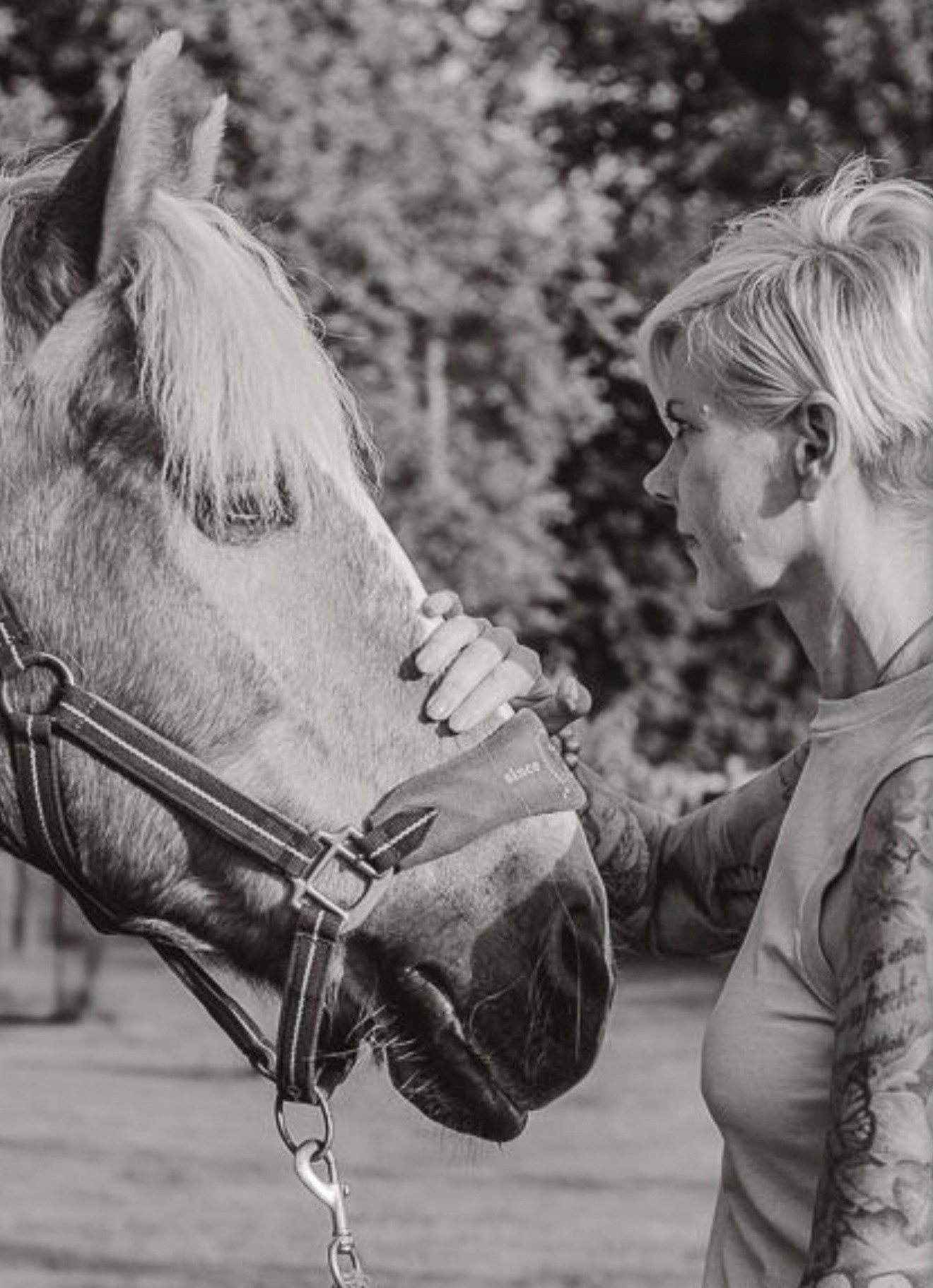 Energetisches Behandlungspaket (8 Wochen)