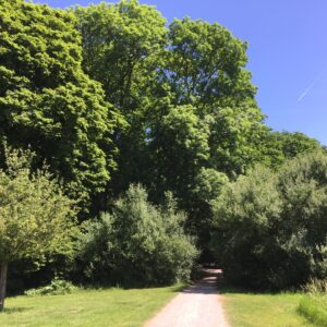 Lebenskompass im Fr&uuml;hling